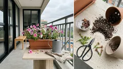 Petúnia florindo por semanas: o que muda com sol, rega, drenagem e poda