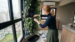 Jardim vertical: como escolher plantas e estrutura para a parede verde durar