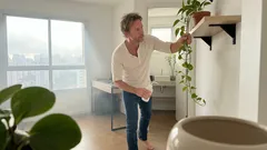 5 plantas pequenas para apartamento que toleram luz indireta e quase não dão trabalho